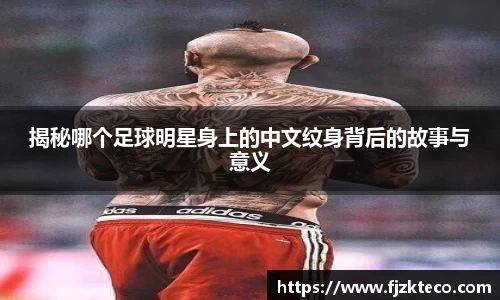 乐竟体育